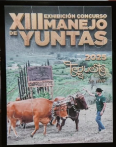 Cartel de la XII exhibición y concurso del manejo de yuntas en Tegueste 2025.